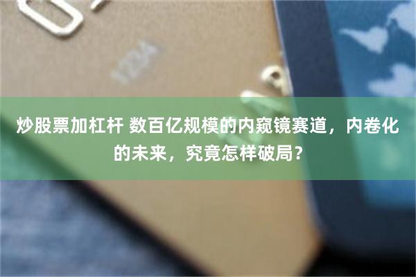 炒股票加杠杆 数百亿规模的内窥镜赛道，内卷化的未来，究竟怎样破局？