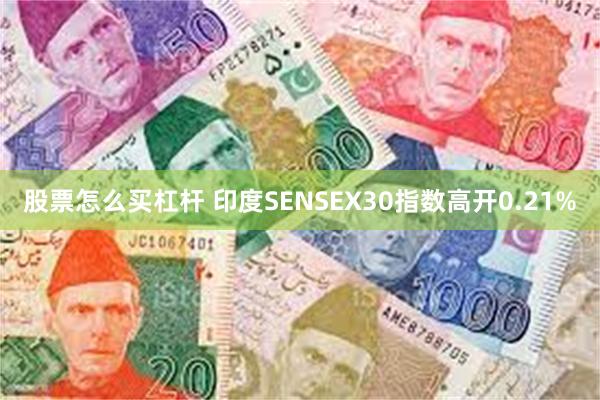 股票怎么买杠杆 印度SENSEX30指数高开0.21%