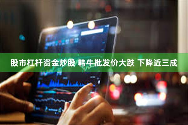 股市杠杆资金炒股 韩牛批发价大跌 下降近三成