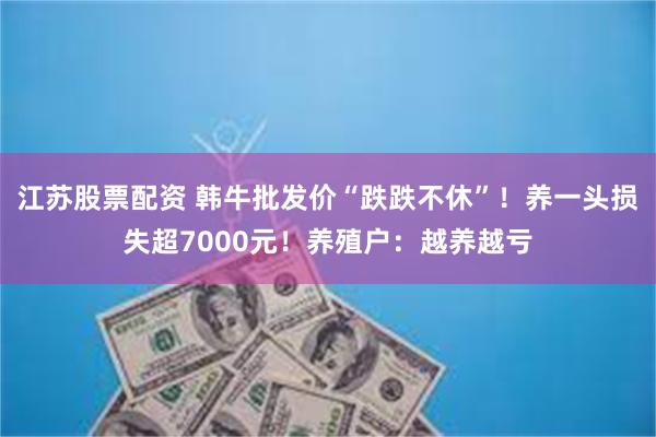 江苏股票配资 韩牛批发价“跌跌不休”！养一头损失超7000元！养殖户：越养越亏
