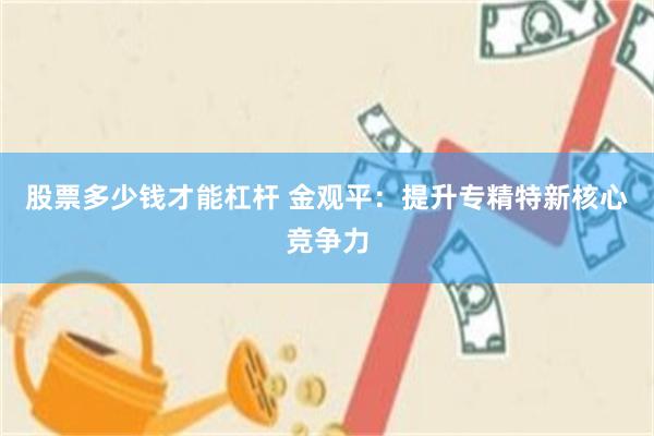 股票多少钱才能杠杆 金观平：提升专精特新核心竞争力