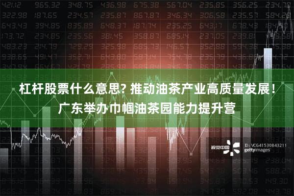 杠杆股票什么意思? 推动油茶产业高质量发展！广东举办巾帼油茶园能力提升营