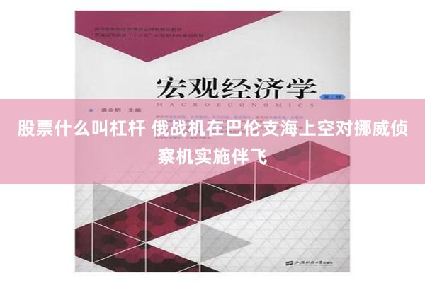 股票什么叫杠杆 俄战机在巴伦支海上空对挪威侦察机实施伴飞