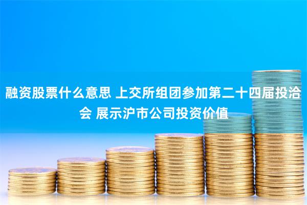 融资股票什么意思 上交所组团参加第二十四届投洽会 展示沪市公司投资价值