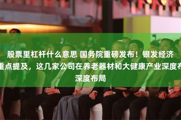 股票里杠杆什么意思 国务院重磅发布！银发经济被重点提及，这几家公司在养老器材和大健康产业深度布局
