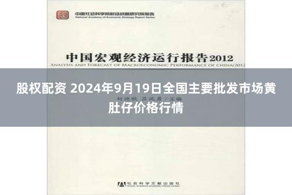 股权配资 2024年9月19日全国主要批发市场黄肚仔价格行情