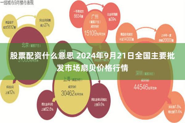 股票配资什么意思 2024年9月21日全国主要批发市场扇贝价格行情