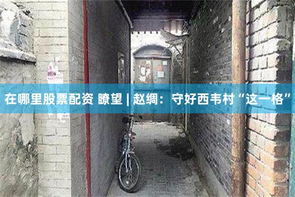在哪里股票配资 瞭望 | 赵绸：守好西韦村“这一格”