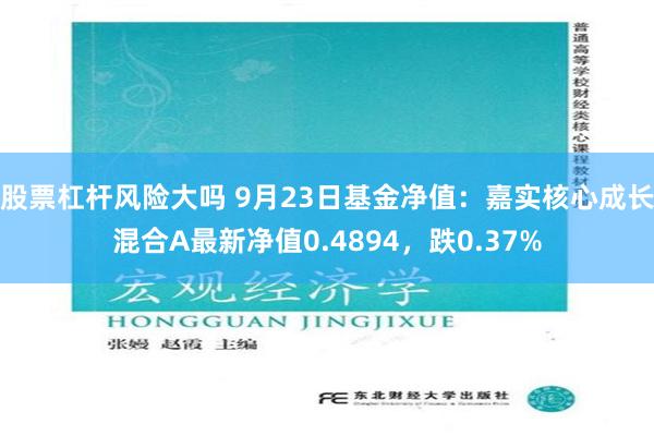 股票杠杆风险大吗 9月23日基金净值：嘉实核心成长混合A最新净值0.4894，跌0.37%