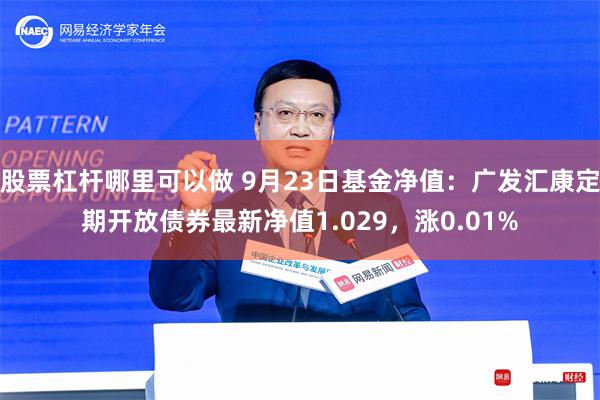 股票杠杆哪里可以做 9月23日基金净值：广发汇康定期开放债券最新净值1.029，涨0.01%