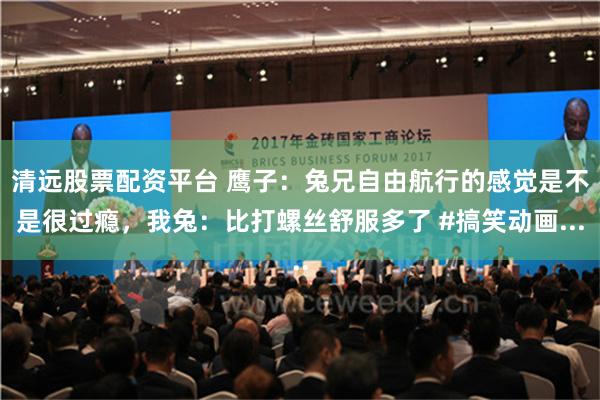 清远股票配资平台 鹰子：兔兄自由航行的感觉是不是很过瘾，我兔：比打螺丝舒服多了 #搞笑动画...