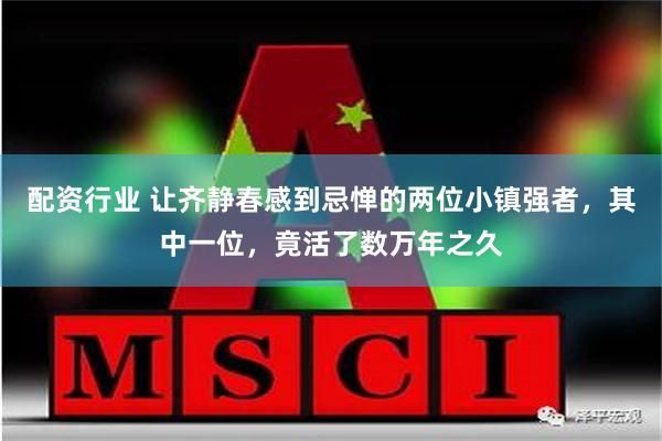 配资行业 让齐静春感到忌惮的两位小镇强者，其中一位，竟活了数万年之久