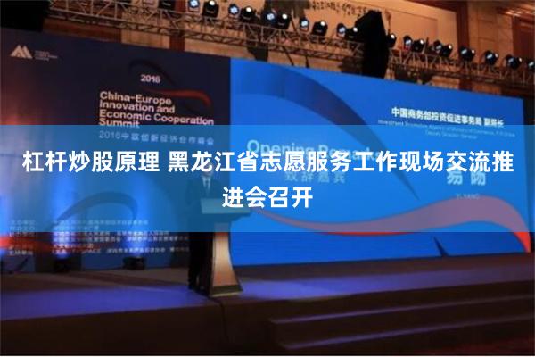 杠杆炒股原理 黑龙江省志愿服务工作现场交流推进会召开