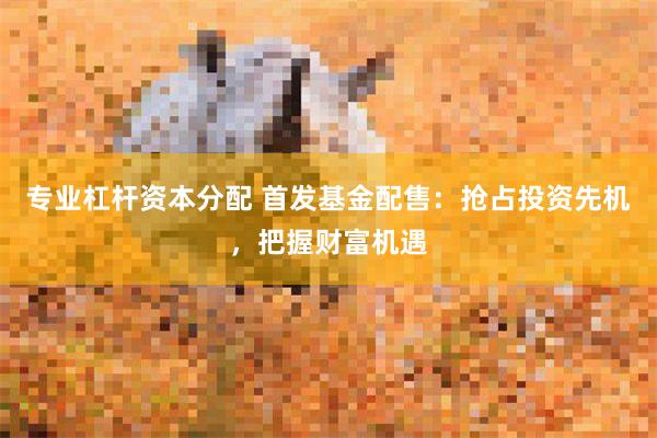 专业杠杆资本分配 首发基金配售：抢占投资先机，把握财富机遇