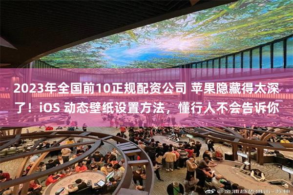 2023年全国前10正规配资公司 苹果隐藏得太深了！iOS 动态壁纸设置方法，懂行人不会告诉你