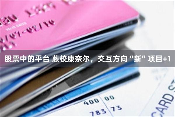 股票中的平台 藤校康奈尔，交互方向“新”项目+1
