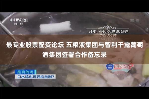 最专业股票配资论坛 五粮液集团与智利干露葡萄酒集团签署合作备忘录