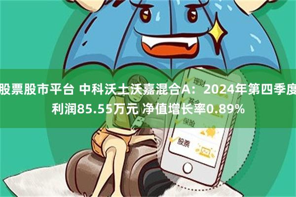 股票股市平台 中科沃土沃嘉混合A：2024年第四季度利润85.55万元 净值增长率0.89%