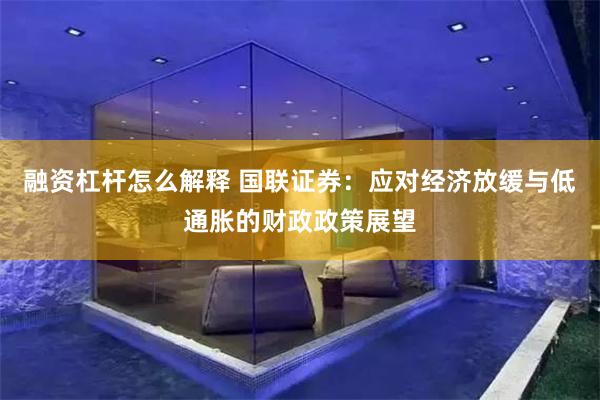 融资杠杆怎么解释 国联证券：应对经济放缓与低通胀的财政政策展望