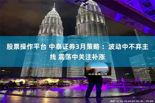 股票操作平台 中泰证券3月策略 ：波动中不弃主线 震荡中关注补涨
