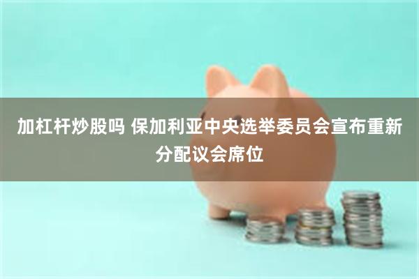 加杠杆炒股吗 保加利亚中央选举委员会宣布重新分配议会席位