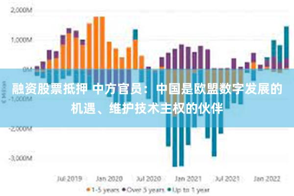 融资股票抵押 中方官员：中国是欧盟数字发展的机遇、维护技术主权的伙伴