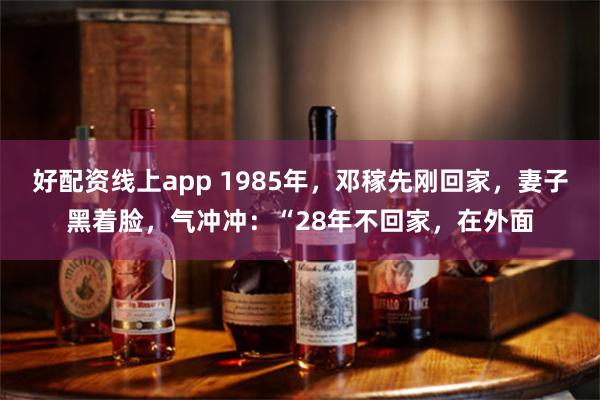 好配资线上app 1985年，邓稼先刚回家，妻子黑着脸，气冲冲：“28年不回家，在外面