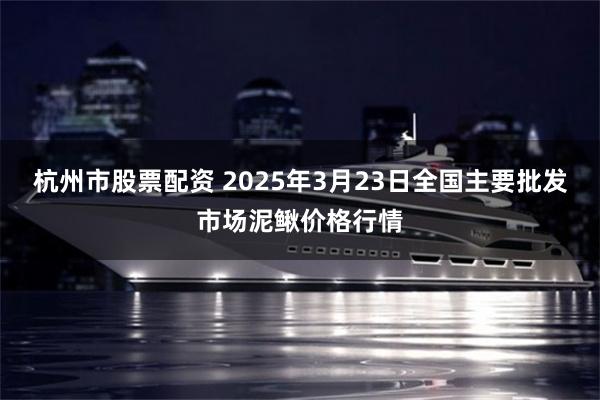 杭州市股票配资 2025年3月23日全国主要批发市场泥鳅价格行情