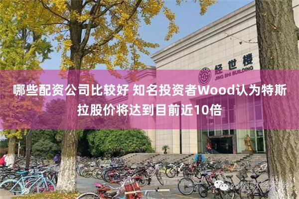 哪些配资公司比较好 知名投资者Wood认为特斯拉股价将达到目前近10倍
