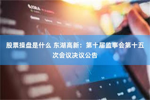 股票操盘是什么 东湖高新：第十届监事会第十五次会议决议公告