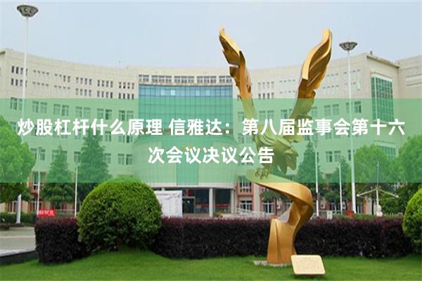炒股杠杆什么原理 信雅达：第八届监事会第十六次会议决议公告