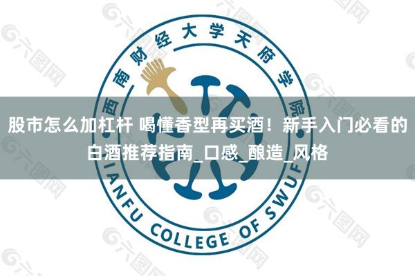 股市怎么加杠杆 喝懂香型再买酒！新手入门必看的白酒推荐指南_口感_酿造_风格