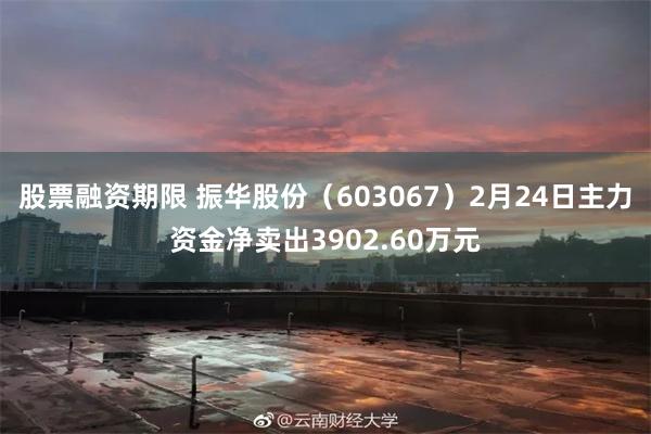 股票融资期限 振华股份（603067）2月24日主力资金净卖出3902.60万元