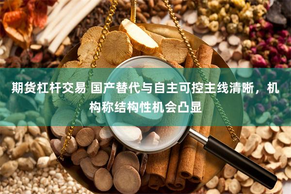 期货杠杆交易 国产替代与自主可控主线清晰，机构称结构性机会凸显