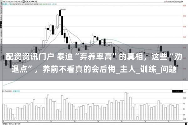 配资资讯门户 泰迪“弃养率高”的真相，这些“劝退点”，养前不看真的会后悔_主人_训练_问题