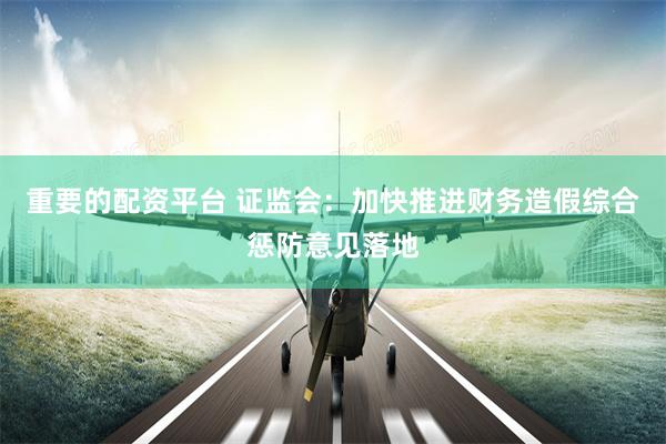 重要的配资平台 证监会：加快推进财务造假综合惩防意见落地