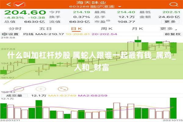什么叫加杠杆炒股 属蛇人跟谁一起最有钱_属鸡_人和_财富