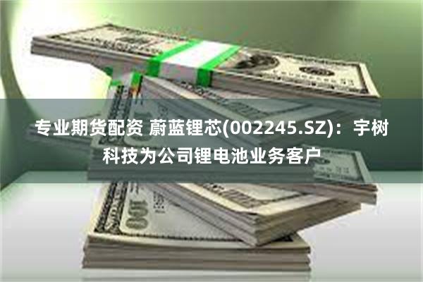 专业期货配资 蔚蓝锂芯(002245.SZ)：宇树科技为公司锂电池业务客户