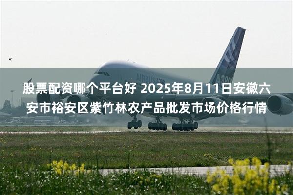 股票配资哪个平台好 2025年8月11日安徽六安市裕安区紫竹林农产品批发市场价格行情
