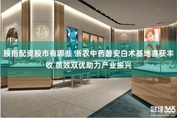 股指配资股市有哪些 浙农中药磐安白术基地喜获丰收 质效双优助力产业振兴